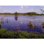 Zdjęcia użytkowników Sony Ericsson Naite