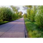 Zdjęcia użytkowników Sony Ericsson Naite