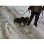 Zdjęcia użytkowników Sony Ericsson P990i