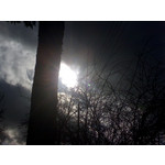 Zdjęcia użytkowników Sony Ericsson P990i