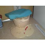 Zdjęcia użytkowników Sony Ericsson Satio