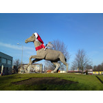 Zdjęcia użytkowników Sony Ericsson Satio