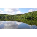 Zdjęcia użytkowników Sony Ericsson Satio