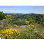 Zdjęcia użytkowników Sony Ericsson Satio