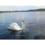 Zdjęcia użytkowników Sony Ericsson Satio