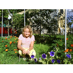 Zdjęcia użytkowników Sony Ericsson V640i