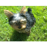 ZDJĘCIA Z TEGO TELEFONU