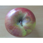 Zdjęcia użytkowników Sony Ericsson Vivaz