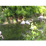 Zdjęcia użytkowników Sony Ericsson Vivaz