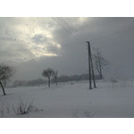 Zdjęcia użytkowników Sony Ericsson Vivaz