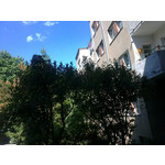 Zdjęcia użytkowników Sony Ericsson Vivaz