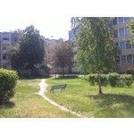 Zdjęcia użytkowników Sony Ericsson Vivaz