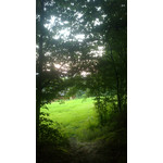 Zdjęcia użytkowników Sony Ericsson Vivaz