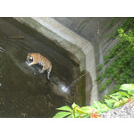 Zdjęcia użytkowników Sony Ericsson Vivaz