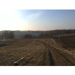 Zdjęcia użytkowników Sony Ericsson Vivaz