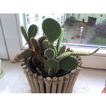 Zdjęcia użytkowników Sony Ericsson W200i