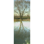 Zdjęcia użytkowników Sony Ericsson W200i