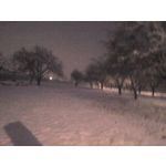 Zdjęcia użytkowników Sony Ericsson W200i