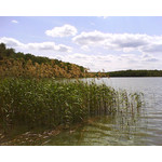 Zdjęcia użytkowników Sony Ericsson W205 Zdjęcia użytkowników Sony Ericsson W205