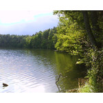 Zdjęcia użytkowników Sony Ericsson W205 Zdjęcia użytkowników Sony Ericsson W205