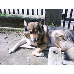 Zdjęcia użytkowników Sony Ericsson W205 Zdjęcia użytkowników Sony Ericsson W205