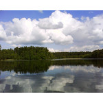 Zdjęcia użytkowników Sony Ericsson W205 Zdjęcia użytkowników Sony Ericsson W205