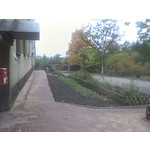 ZDJĘCIA Z TEGO TELEFONU