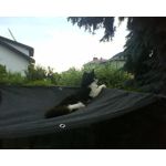 ZDJĘCIA Z TEGO TELEFONU