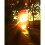 Zdjęcia użytkowników Sony Ericsson W350