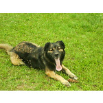 ZDJĘCIA Z TEGO TELEFONU