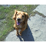 Zdjęcia użytkowników Sony Ericsson W380i