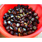 Zdjęcia użytkowników Sony Ericsson W380i