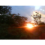 Zdjęcia użytkowników Sony Ericsson W580i