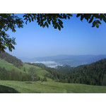 Zdjęcia użytkowników Sony Ericsson W850i