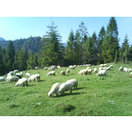 ZDJĘCIA Z TEGO TELEFONU