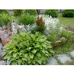 Zdjęcia użytkowników Sony Ericsson W890i