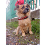 Zdjęcia użytkowników Sony Ericsson W890i