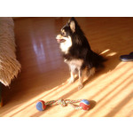 Zdjęcia użytkowników Sony Ericsson W890i