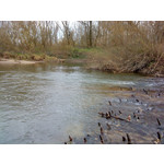 Zdjęcia użytkowników Sony Ericsson W890i