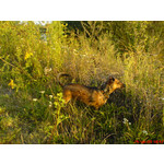 Zdjęcia użytkowników Sony Ericsson W900i Zdjęcia użytkowników Sony Ericsson W900i