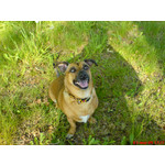 ZDJĘCIA Z TEGO TELEFONU