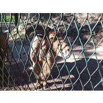 Zdjęcia użytkowników Sony Ericsson Xperia Arc S