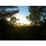 Zdjęcia użytkowników Sony Ericsson Xperia Arc S