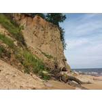 Zdjęcia użytkowników Sony Ericsson Xperia Arc S