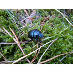 Zdjęcia użytkowników Sony Ericsson Xperia mini pro Zdjęcia użytkowników Sony Ericsson Xperia mini pro