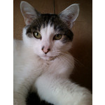 Zdjęcia użytkowników Sony Ericsson Xperia mini pro Zdjęcia użytkowników Sony Ericsson Xperia mini pro