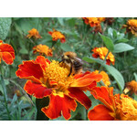 Zdjęcia użytkowników Sony Ericsson Xperia mini pro Zdjęcia użytkowników Sony Ericsson Xperia mini pro