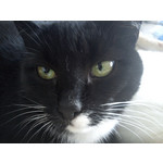 Zdjęcia użytkowników Sony Ericsson Xperia mini pro Zdjęcia użytkowników Sony Ericsson Xperia mini pro