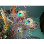 Zdjęcia użytkowników Sony Ericsson Xperia neo V