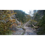 Zdjęcia użytkowników Sony Ericsson Xperia neo V